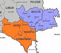 Image result for Massacres of Poles in Volhynia
