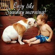 Image result for Hilarious Sunday Quotes