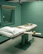 Image result for Executions by State
