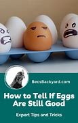 Image result for How to Tell If Eggs Are Good
