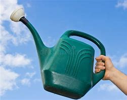 Image result for Everhome Watering Can In Green - Everhome - Gardening 