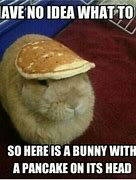Image result for Bunny Pancake Meme