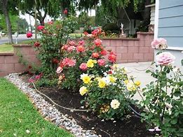 Image result for Rose Garden Designs for Small Yard