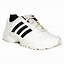 Image result for Adidas White Running Shoes