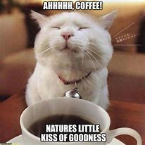 Image result for Coffee Break Funny