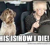 Image result for Funny Senior Citizens Driving