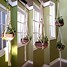 Image result for Swing Plant Hangers