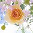 Image result for Rose Flower Wallpaper for Kindle Fire