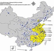 Image result for China Flu