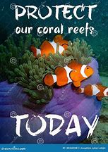 Image result for Keep Calm and Love Coral