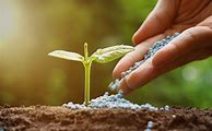 Image result for Eco-Co Coir Seedstarting Mix - Soils & Fertilizers - Seed Starting Soils & Fertilizers - Gardener's Supply