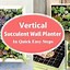 Image result for DIY Succulent Wall Art
