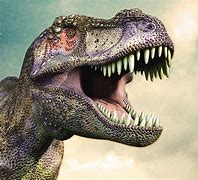 Image result for T-Rex Dinosaur Wallpaper