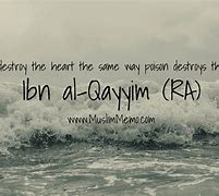 Image result for Islam Peace Quotes