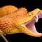 Image result for Snake with Mouth Open