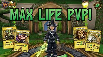 Image result for Life Wizard 101