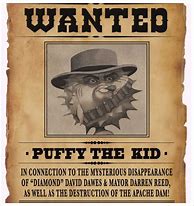 Image result for Example Wanted Poster with Summary