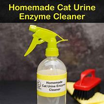 Image result for Cat Urine Cleaner