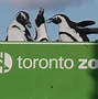 Image result for Top Attractions in Toronto Canada