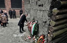 Image result for Polish Executions