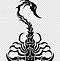 Image result for Scorpion Clip Art Black and White