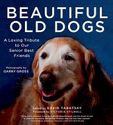 Image result for Old Dogs Film