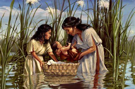 EcoPreacher: Sermon: Baby Moses in the Basket