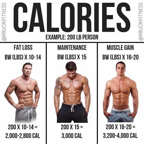 How many calories to put on muscle