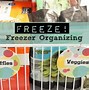 Image result for Organizing Freezer