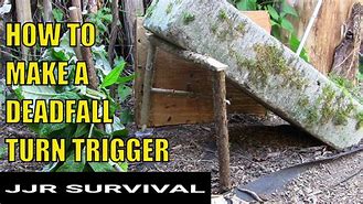 Image result for Deadfall Snare Triggers