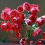 Image result for Valentine Flowers Wallpaper 4K 2160