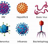 Image result for Types of Computer Viruses