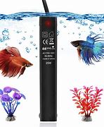Image result for Fish Tank Filter for Horse Water