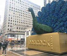 Image result for Peacock 15 million subscribers