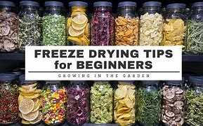 Image result for Freeze Dryer vs Dehydrator