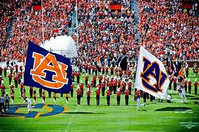 Image result for Auburn College Football
