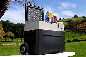 Image result for Portable Ice Chest Cooler