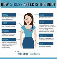 Image result for How Stress Affects Your Body