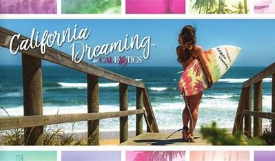 Image result for calexotics california dreaming logo