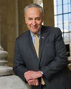 Image result for Schumer Yamaka