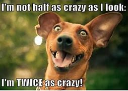 Image result for Going Crazy Funny