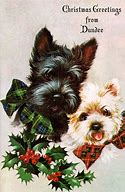 Image result for Dog Vintage Christmas Postcards