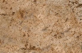 Image result for Textures Concrete Wall Panels