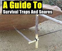 Image result for Survival Snare Traps