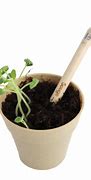 Image result for Crayon a Planter