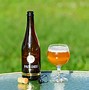 Image result for What Is a Belgian Tripel