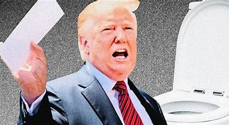 Image result for Trump flushing documents