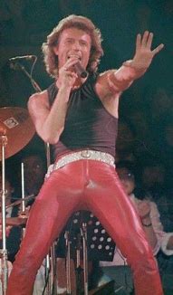 Image result for Andy Gibb Concert