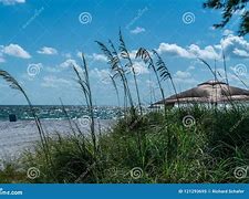 Image result for Warm Breezy Day