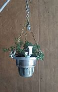 Image result for Hanging Plant Watering Can